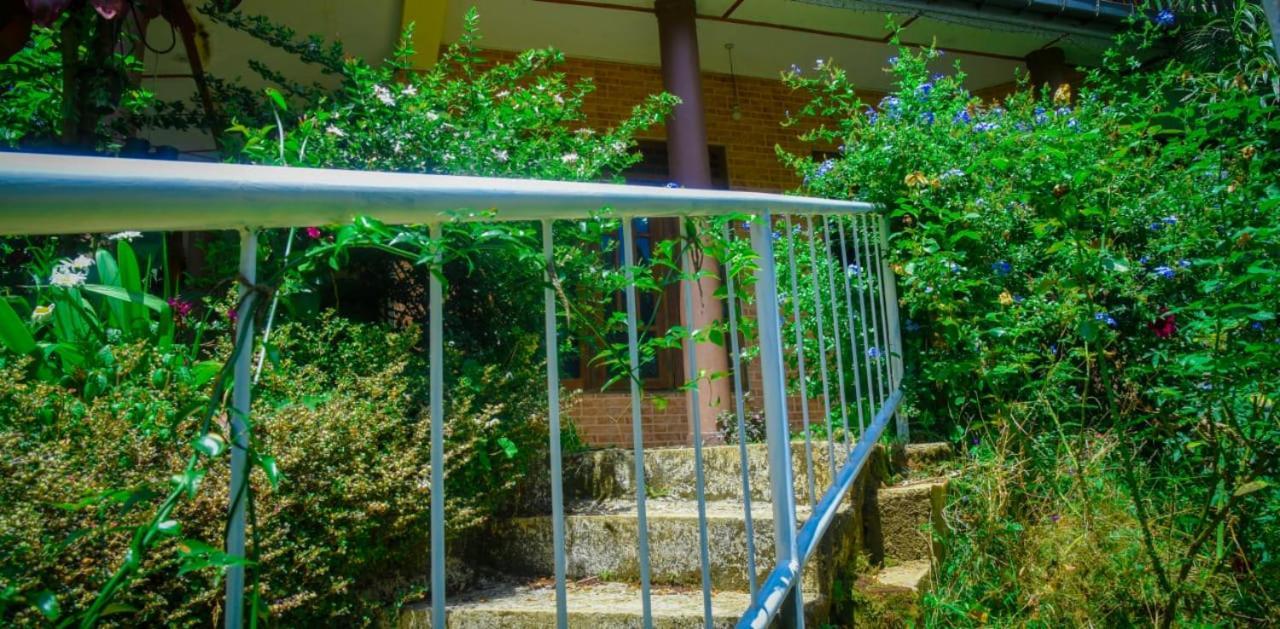 City Escape Otel Procida Dış mekan fotoğraf